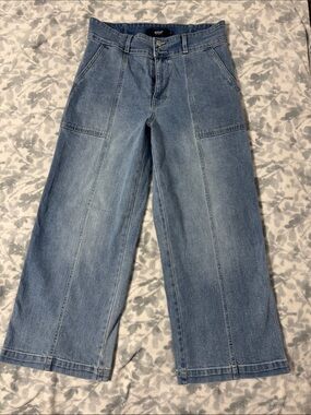 Hudson Jeans Light Blue Wide-Leg Flare Jeans